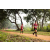 Team 90 / Raid Amazones Sri Lanka 2022 - J1 Trail