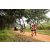 Team 86 / Raid Amazones Sri Lanka 2022 - J1 Trail