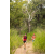 Raid Amazones Sri Lanka 2022 - J1 Trail