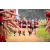 Team 57 / Raid Amazones Sri Lanka 2022 - J1 Trail