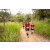 Team 21 / Raid Amazones Sri Lanka 2022 - J1 Trail