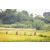 Raid Amazones Sri Lanka 2022 - J1 Trail