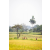 Raid Amazones Sri Lanka 2022 - J1 Trail