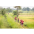 Raid Amazones Sri Lanka 2022 - J1 Trail