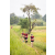Raid Amazones Sri Lanka 2022 - J1 Trail