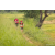 Team 61 / Raid Amazones Sri Lanka 2022 - J1 Trail