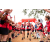 Team 85 / Raid Amazones Sri Lanka 2022 - J1 Trail