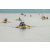 Team 310 / Raid Amazones Sri Lanka 2022 - J2 Canoe