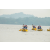 Team 12 / Raid Amazones Sri Lanka 2022 - J2 Canoe
