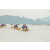 Team 83 / Raid Amazones Sri Lanka 2022 - J2 Canoe