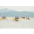 Team 13 / Raid Amazones Sri Lanka 2022 - J2 Canoe