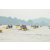 Team 67 / Raid Amazones Sri Lanka 2022 - J2 Canoe