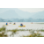 Team 33 / Raid Amazones Sri Lanka 2022 - J2 Canoe
