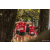 Team 313 / Raid Amazones Sri Lanka 2022 - J2 Canoe