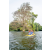 Team 306 / Raid Amazones Sri Lanka 2022 - J2 Canoe