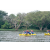 Team 303 / Raid Amazones Sri Lanka 2022 - J2 Canoe