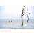 Team 90 / Raid Amazones Sri Lanka 2022 - J2 Canoe
