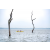 Team 90 / Raid Amazones Sri Lanka 2022 - J2 Canoe