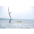 Team 90 / Raid Amazones Sri Lanka 2022 - J2 Canoe