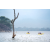 Team 70 / Raid Amazones Sri Lanka 2022 - J2 Canoe