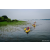 Team 303 / Raid Amazones Sri Lanka 2022 - J2 Canoe