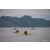 Team 27 / Raid Amazones Sri Lanka 2022 - J2 Canoe