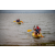 Team 78 / Raid Amazones Sri Lanka 2022 - J2 Canoe