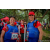 Team 39 / Raid Amazones Sri Lanka 2022 - J2 Canoe