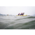 Team 328 / Raid Amazones Sri Lanka 2022 - J2 Canoe