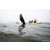 Team 304 / Raid Amazones Sri Lanka 2022 - J2 Canoe