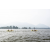 Team 77 / Raid Amazones Sri Lanka 2022 - J2 Canoe