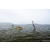 Raid Amazones Sri Lanka 2022 - J2 Canoe
