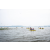 Team 304 / Raid Amazones Sri Lanka 2022 - J2 Canoe