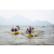 Team 06 / Raid Amazones Sri Lanka 2022 - J2 Canoe