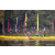 Raid Amazones Sri Lanka 2022 - J2 Canoe