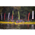 Team 324 / Raid Amazones Sri Lanka 2022 - J2 Canoe