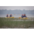 Team 27 / Raid Amazones Sri Lanka 2022 - J2 Canoe