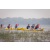 Team 57 / Raid Amazones Sri Lanka 2022 - J2 Canoe