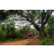 Raid Amazones Sri Lanka 2022 - J3 Run & Bike