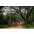 Raid Amazones Sri Lanka 2022 - J3 Run & Bike