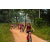 Team 335 / Raid Amazones Sri Lanka 2022 - J3 Run & Bike