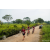 Team 318 / Raid Amazones Sri Lanka 2022 - J3 Run & Bike