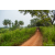 Raid Amazones Sri Lanka 2022 - J3 Run & Bike