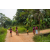 Team 64 / Raid Amazones Sri Lanka 2022 - J3 Run & Bike