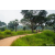 Raid Amazones Sri Lanka 2022 - J3 Run & Bike