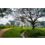 Raid Amazones Sri Lanka 2022 - J3 Run & Bike