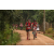 Team 46 / Raid Amazones Sri Lanka 2022 - J3 Run & Bike