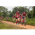 Team 46 / Raid Amazones Sri Lanka 2022 - J3 Run & Bike