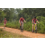 Team 308 / Raid Amazones Sri Lanka 2022 - J3 Run & Bike