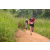 Team 14 / Raid Amazones Sri Lanka 2022 - J3 Run & Bike